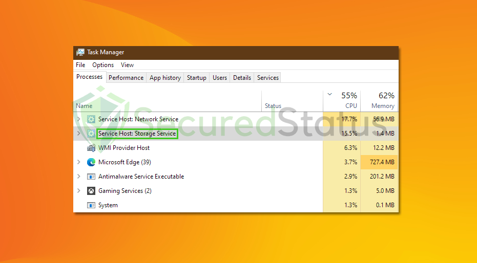 Image of Service Host: Storage Service Process