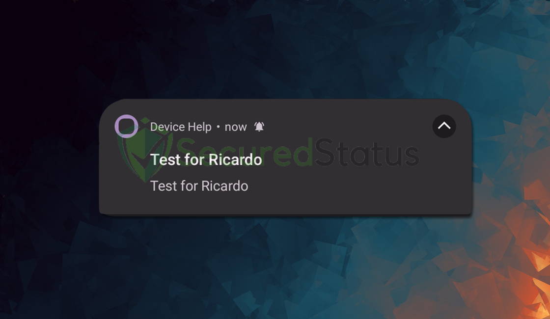Image of the Test For Ricardo notification