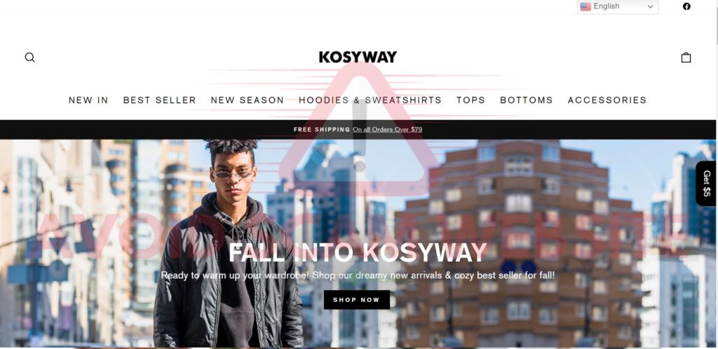 Image of Kosyway.com Scam